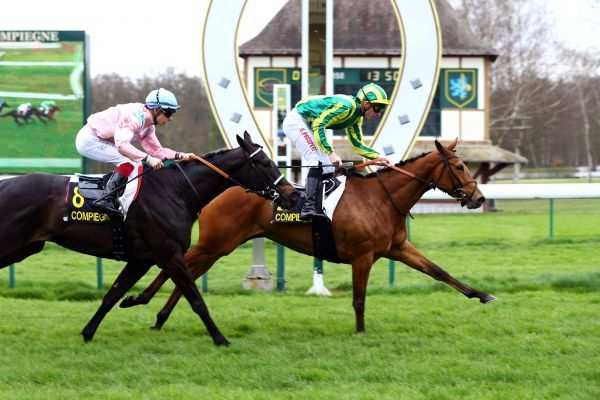 Silver Meadow
