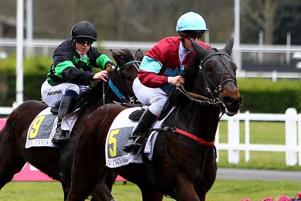 ELITE DU MOUCHEL