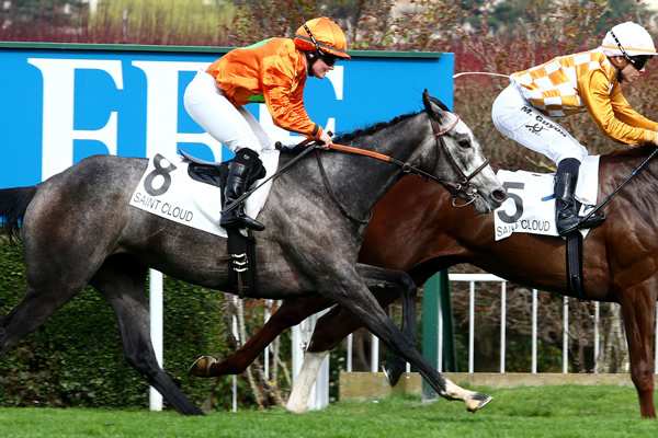 LIBRE COMME L'OR