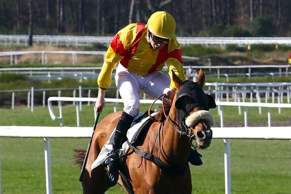 MISTER VESPONE