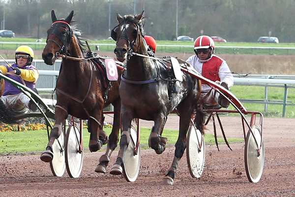 EPI DES LANDES