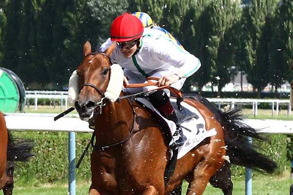 BEST FILLY