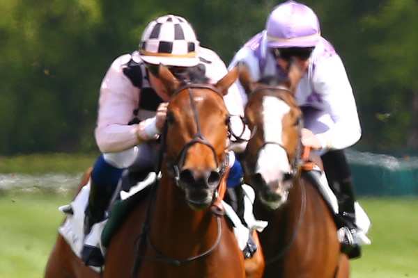 GREAT VALLEY