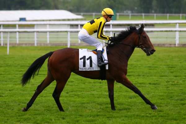 FLEURDELAGE