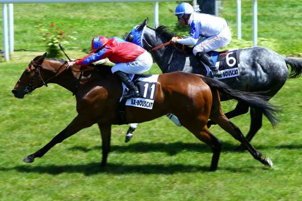Djoko Quinté+ PMU HANDICAP DE BORDEAUX à Bordeaux le Bouscat