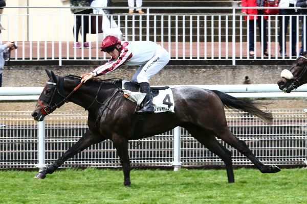 LASCAR GRIS
