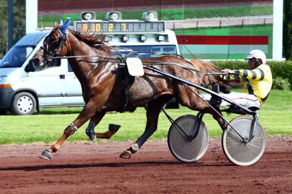 DREAM DU CHATAULT