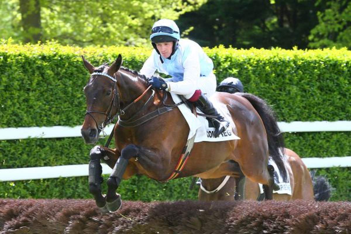 IT'S JENNIFER - La fiche CANALTURF du cheval, performances pmu, pédigré ...