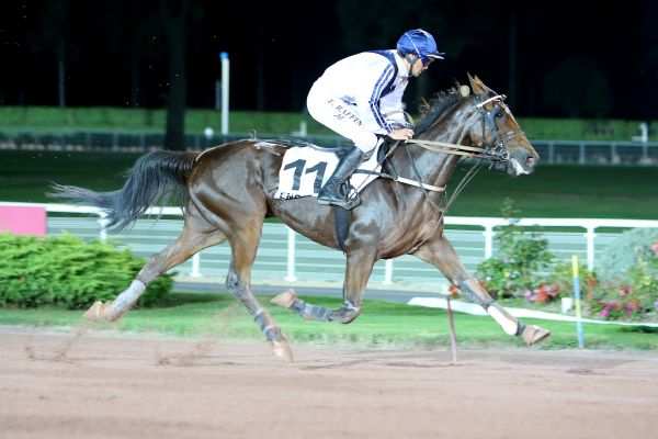 CLASSICO DES BOIS