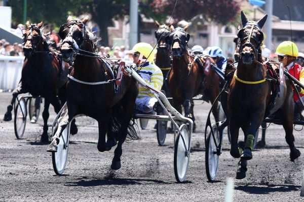 Picone Quinté+ PMU PRIX DE VILLENEUVE-SUR-LOT à Vincennes
