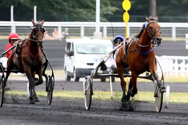 Afghan Barbes Quinté+ PRIX BERTRAND DELOISON à Vincennes