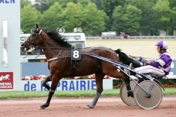UN REVE DE STAR