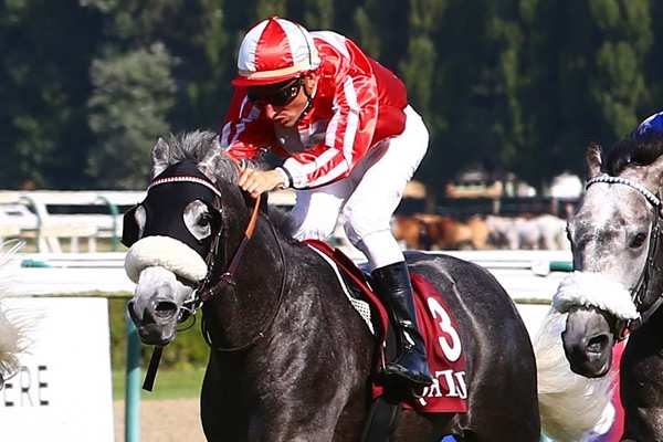 DJELAMER