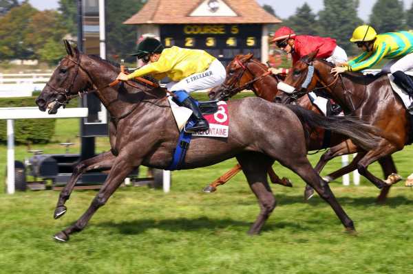 SMART VENDOME