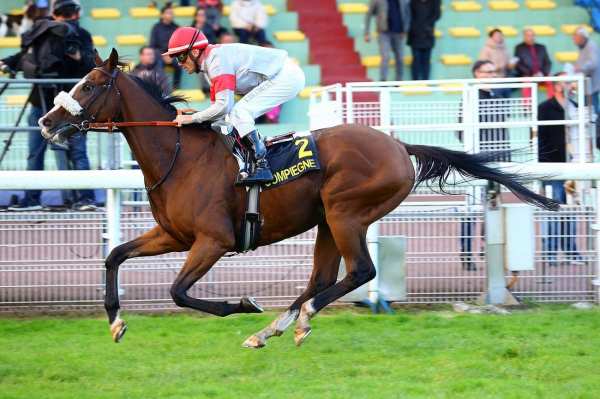 PRINCE DE PERSE