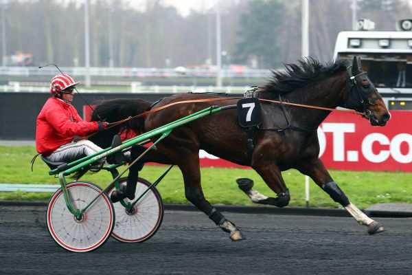 FILOU D'ARQUENAY
