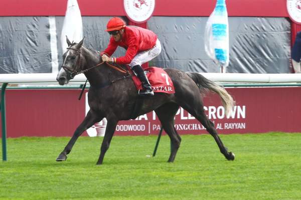 AL SHAMOOS