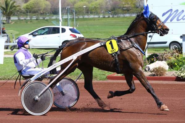 ALAIN D'OCCAGNES