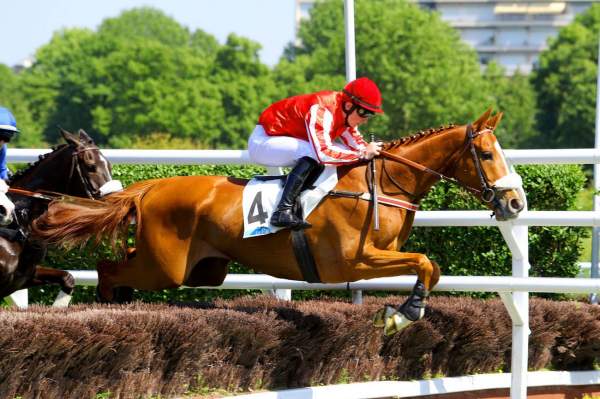 EN AVANT BAYONNE
