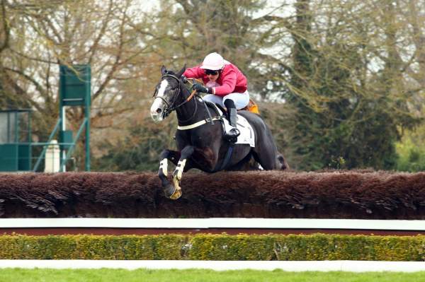 FANFAN DES BRIERES