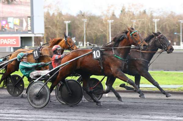 Contree D'erable