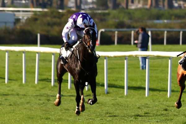 DUC DES CHABOTS