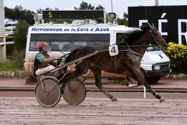 FILS DE STAR