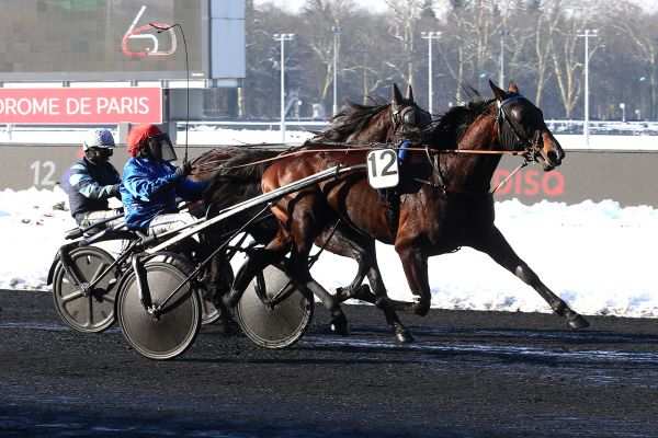 EDDY D'OCCAGNES