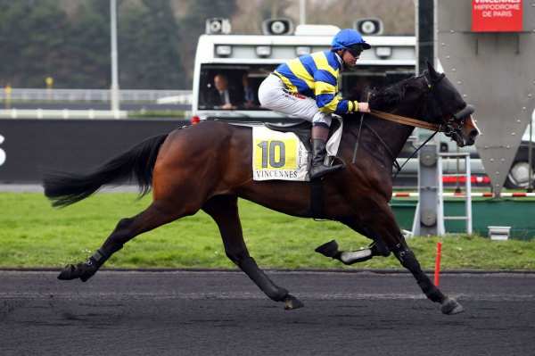 Equinoxe Jiel