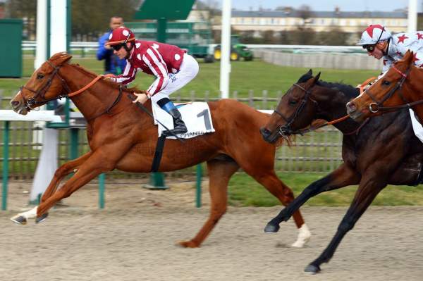Qatar Bolt