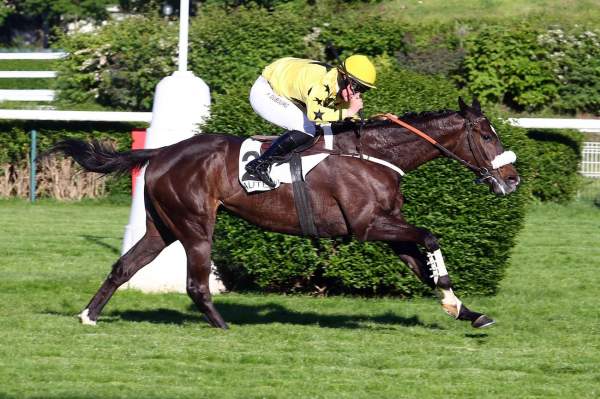 Aurelio