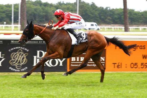 FRANKEL LIGHT
