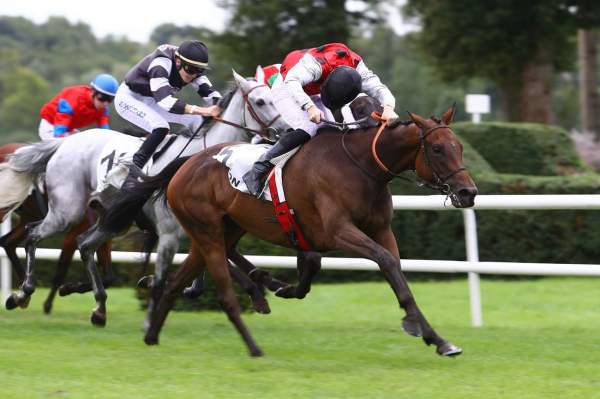 Blue Hills Quinté+ PMU HANDICAP DU LION D'ANGERS
