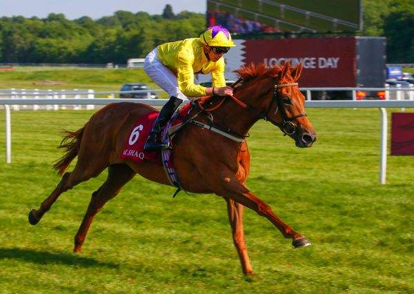 SEA OF CLASS