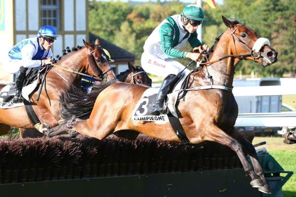 ROI AUSTRAL