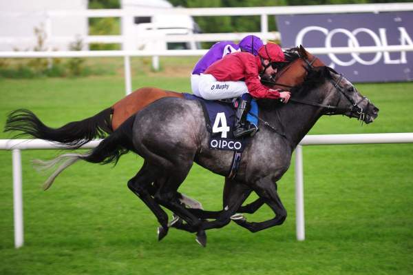 ROARING LION