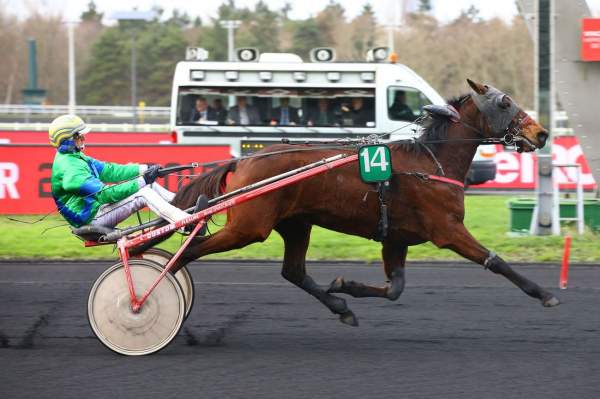 DARLING D'HERMINE
