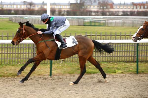 SARSTEDT