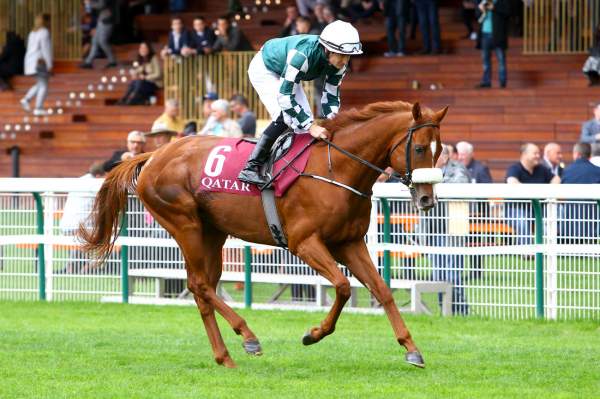 LEO DE FURY