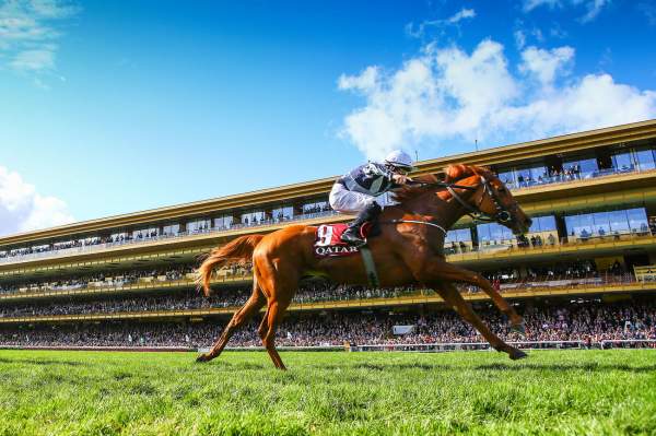 Albigna Course Pmu Qatar Prix Marcel Boussac 2019 Ã ParisLongchamp