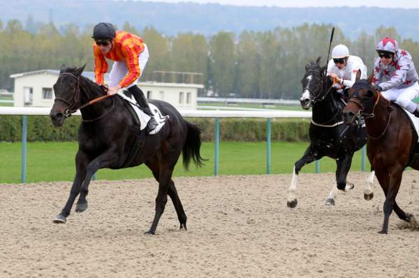 Velma Valento Quinté+ Pmu Prix Equidays le Calvados fête le cheval 2019 à Deauville