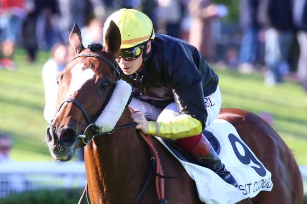 Attentionadventure Quinté+ Pmu Prix du Val d'Oise 2019 à Saint-Cloud