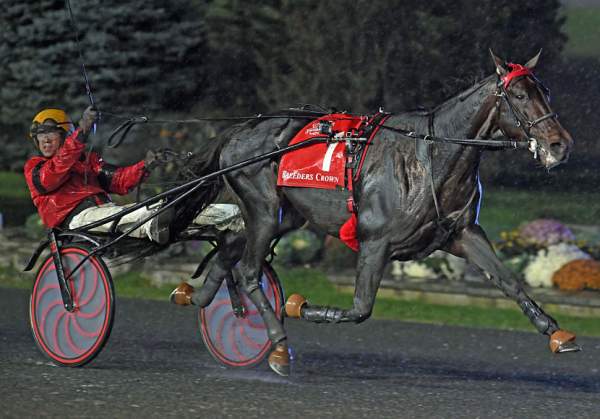 La photo de Bold Eagle Woodbine