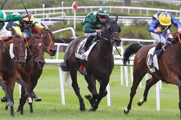 SPEEDYWELL