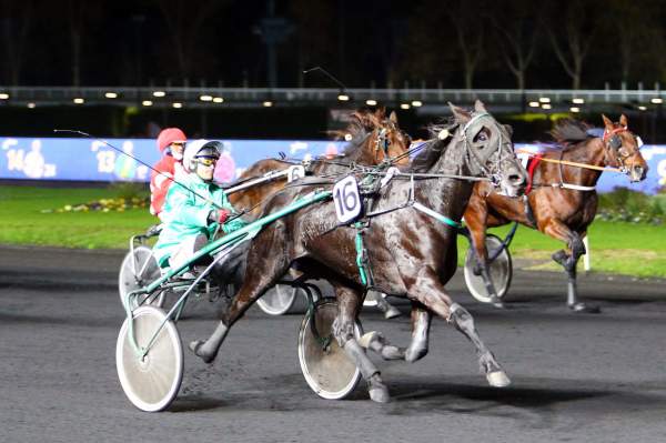 Déesse Noire Quinté+ Pmu Prix Gemma 2019 à Paris-Vincennes
