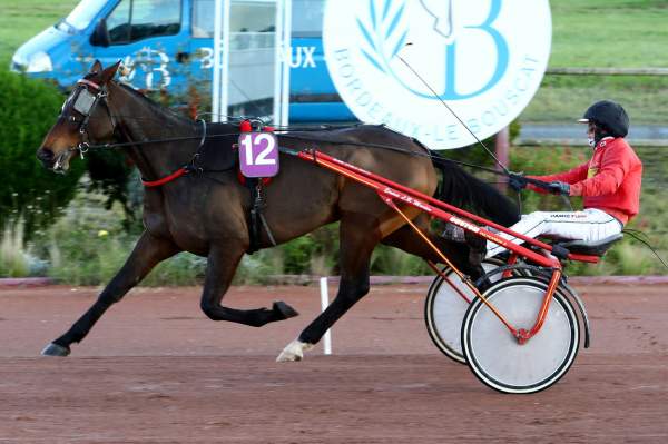 Cocktail Julino Quinté+ Pmu Grand Prix Dynavena Maisagri 2019 à Bordeaux