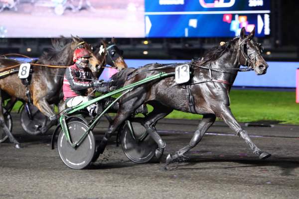 Whole Lotta Love Quinté+ Pmu Prix Mizar à Paris Vincennes