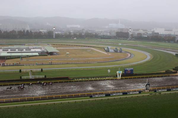 Hippodrome De Fuchu Ă Tokyo Japan Cup 2019