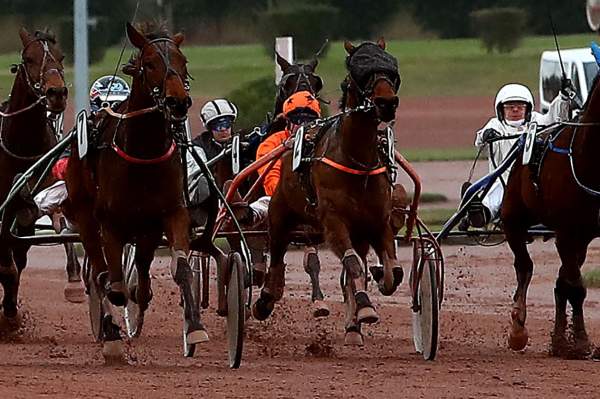 BANDIT DU HOULET