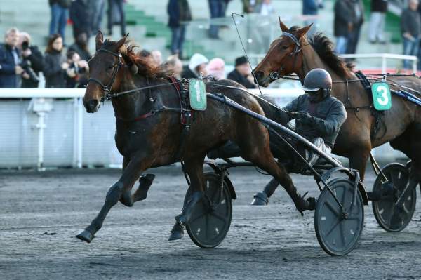 Fleche Du Yucca Course Pmu Prix Ariste Hemard 2019 Ã Paris-Vincennes